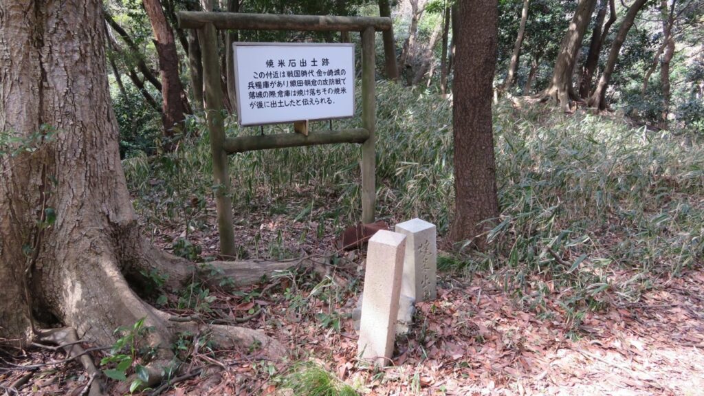 金ヶ崎城の焼米石出土跡