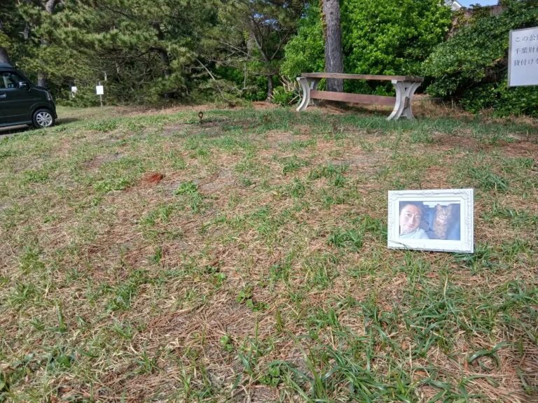 海辺の公園の芝生に置いた、運営者とももの写真